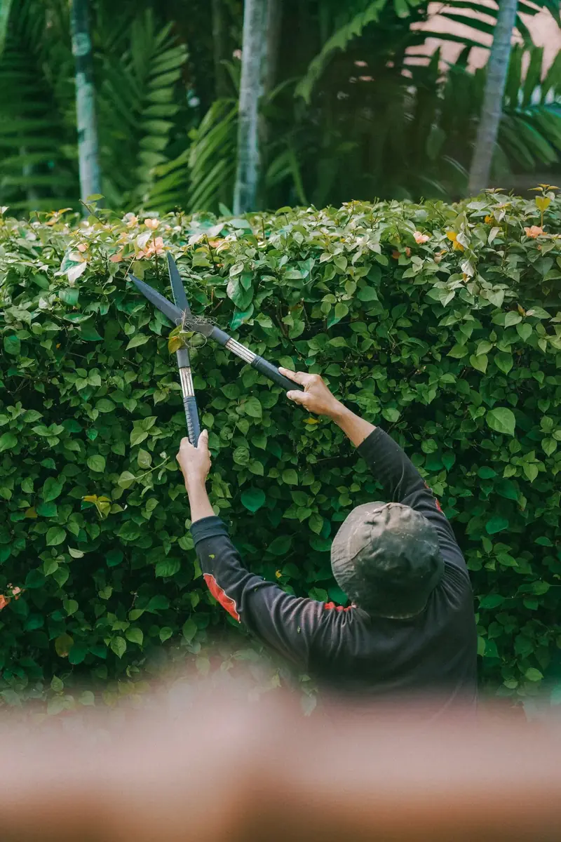 Jardinier Bernay, intervention Multi Taille Services